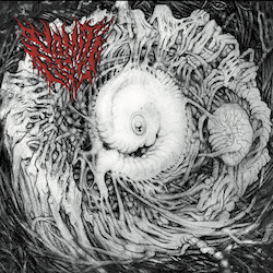 Vomit Fist - Deep Spawn