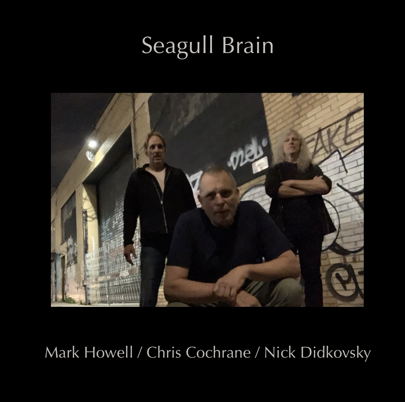 Chris Cochrane, Nick Didkovsky, Mark Howell Seagull Brain